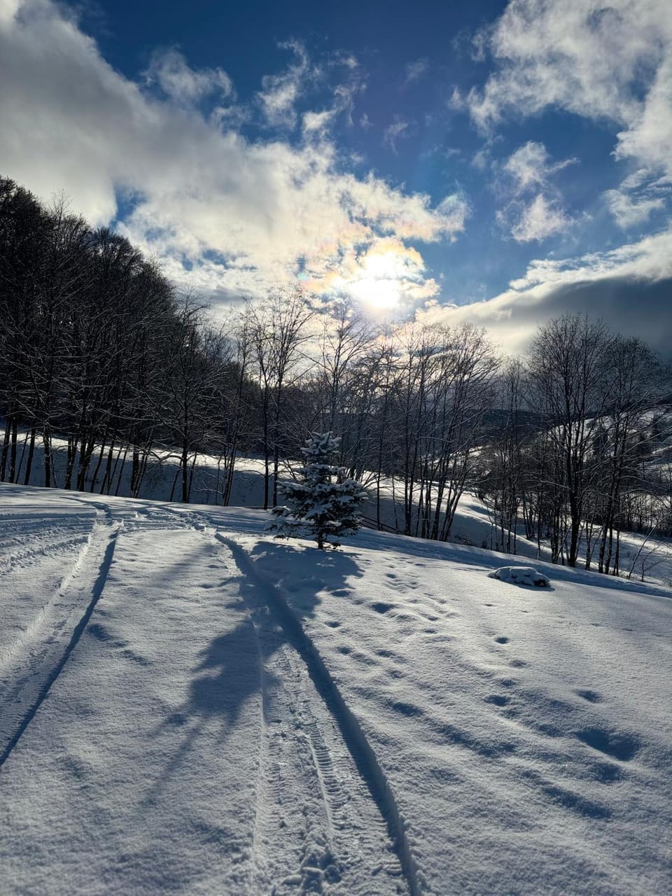 Valley House Cabana cu priveliste de vis House in Brașov County