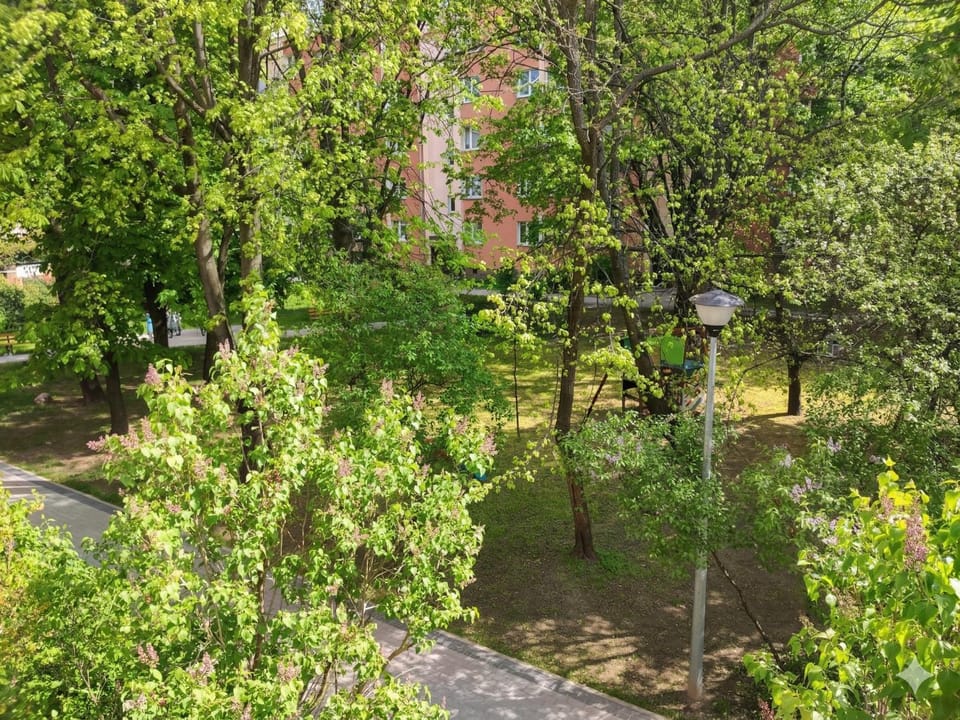 Natural landscape, Garden, Garden, View (from property/room)