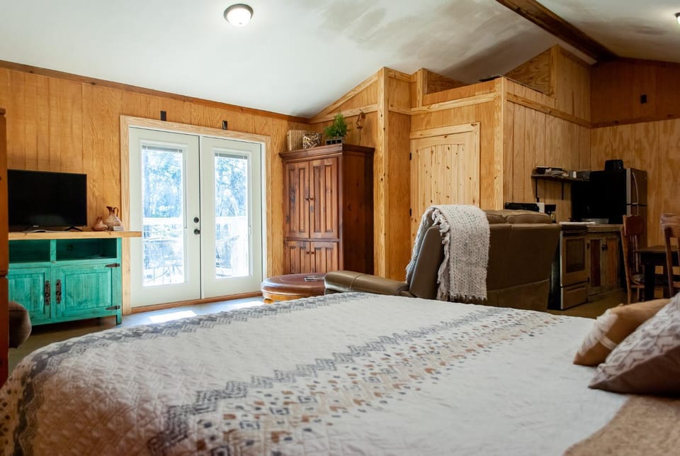 Bed, TV and multimedia, Living room, Photo of the whole room, Evening entertainment, Bedroom, kitchen