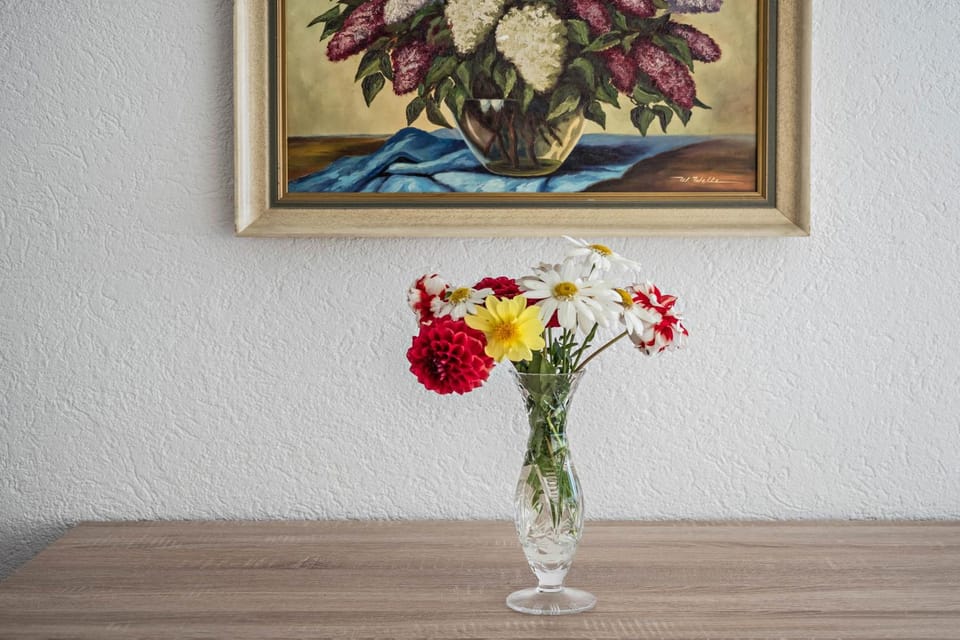 Ferienwohnung Insel Reichenau Apartment in Baden-Württemberg