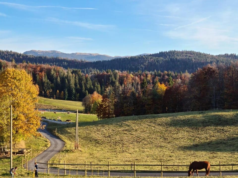 Natural landscape, Hiking, Autumn, Mountain view