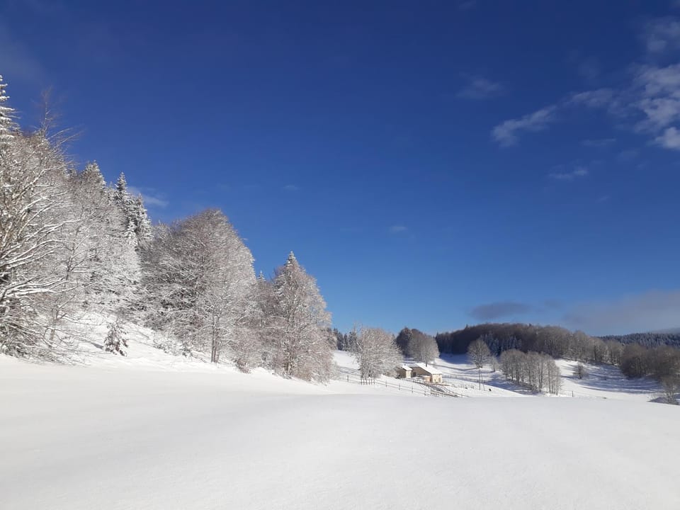 Natural landscape, Winter, Hiking