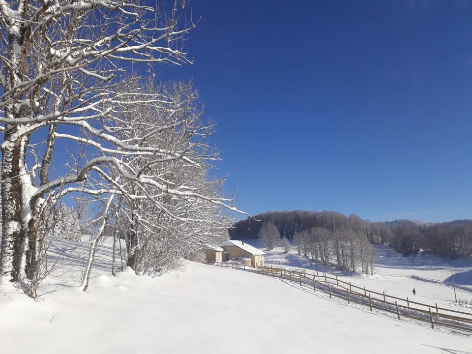 Natural landscape, Winter