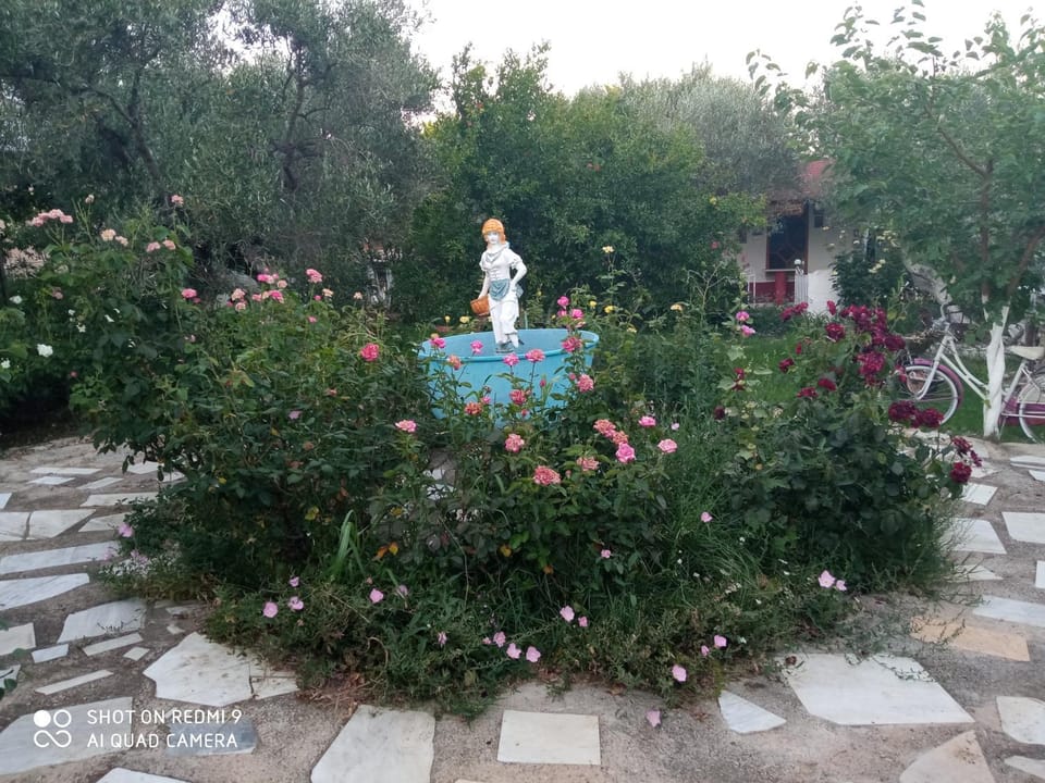 Spring, Garden, Garden view