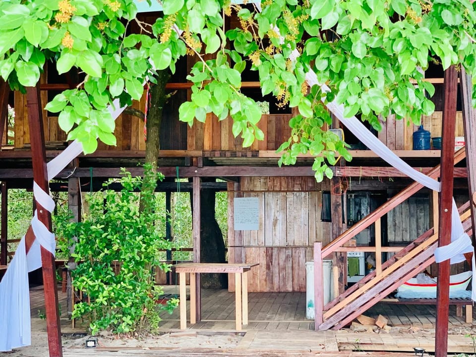 Flowmove Retreat Algodoal House in State of Pará
