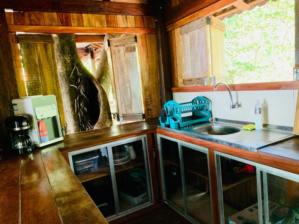 Flowmove Retreat Algodoal House in State of Pará