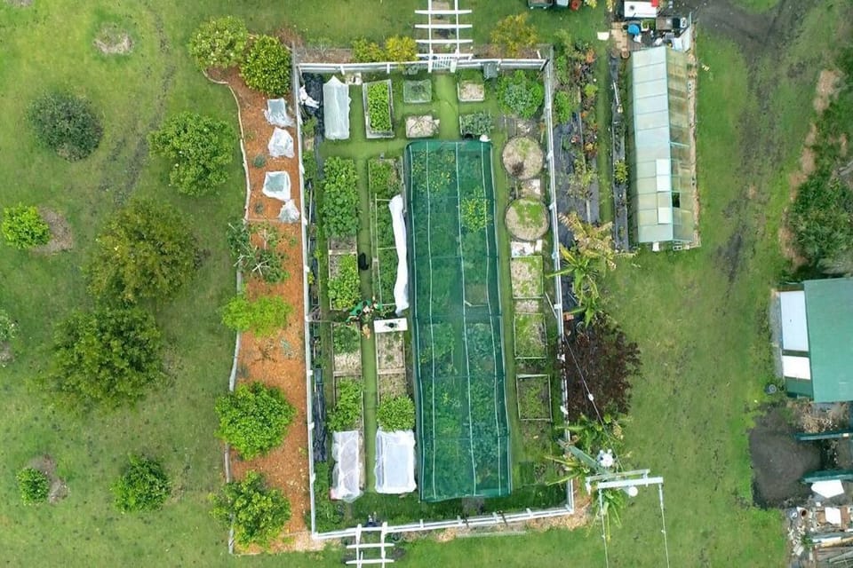 Bird's eye view, Garden, Garden view