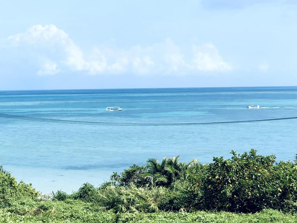 Sea view
