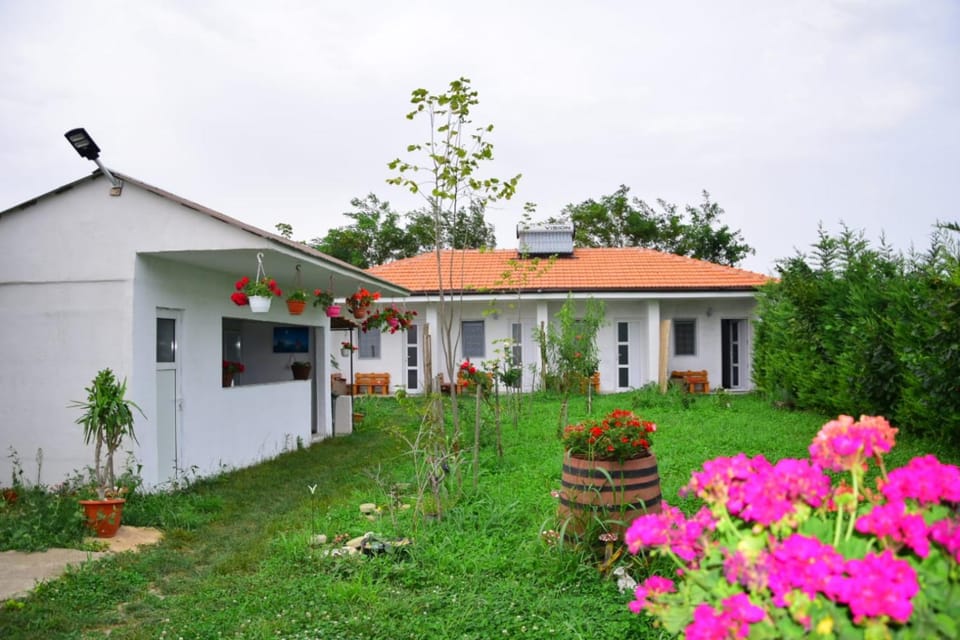 Casa GyoMar Bed and Breakfast in Dobrich Province, Bulgaria