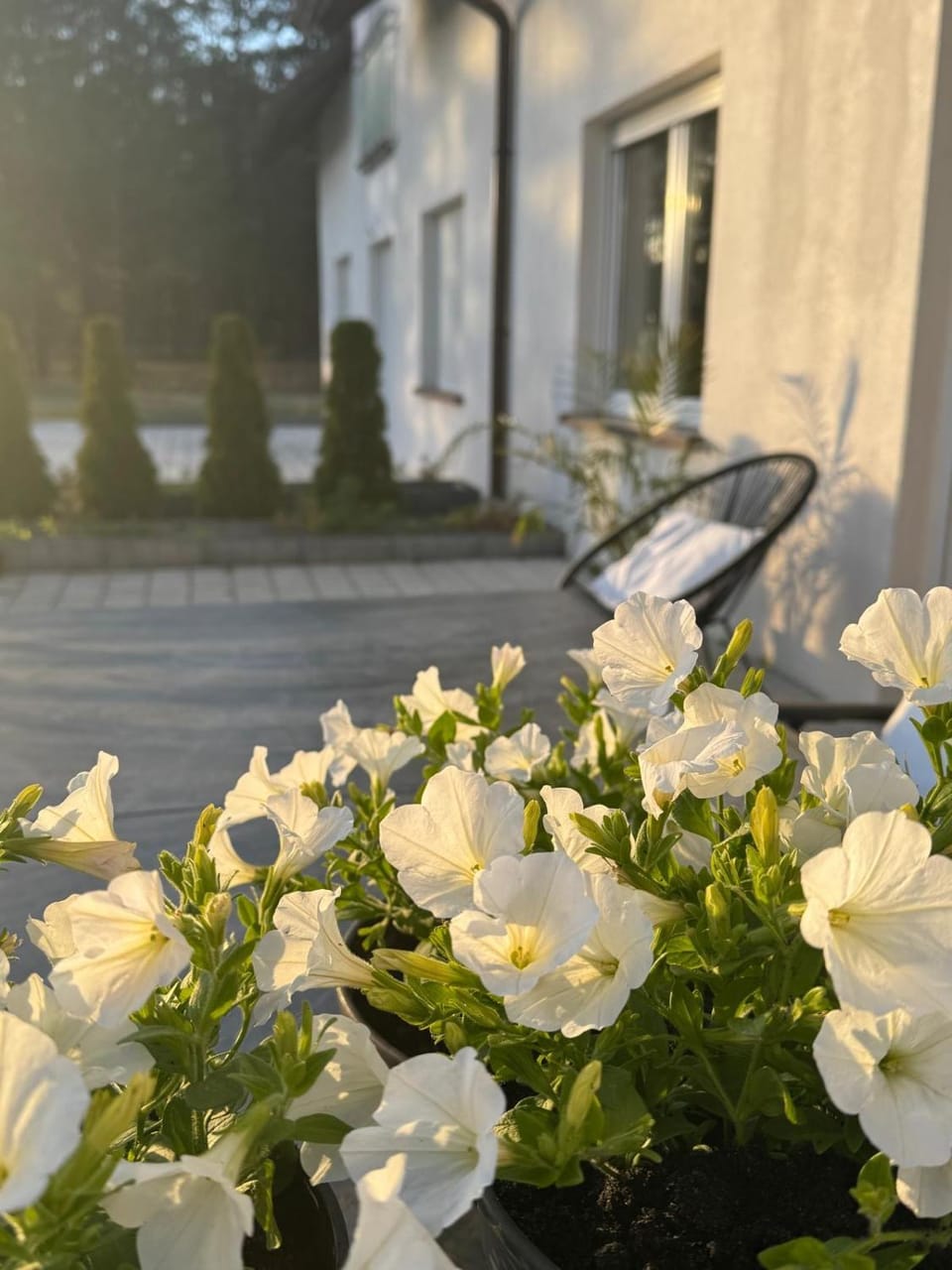 Lasy Jeziora, Cisza i Spokój, Grzybki i Rybki, Dom 180m2 w Swornegacie nad jeziorem Karsińskim Villa in Pomeranian Voivodeship