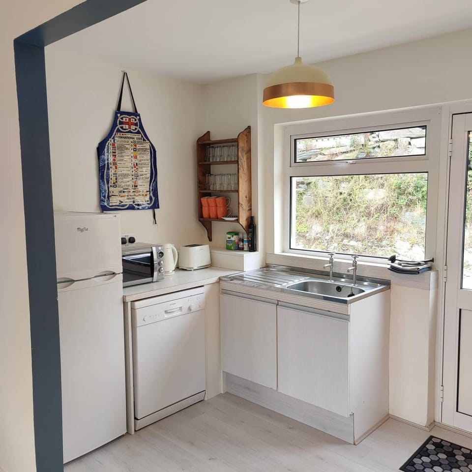 Kitchen or kitchenette, dishwasher, minibar, pet friendly, stove