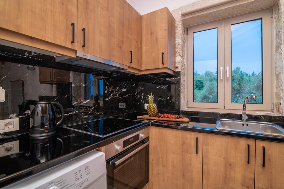 Kitchen or kitchenette, minibar, pet friendly, stove