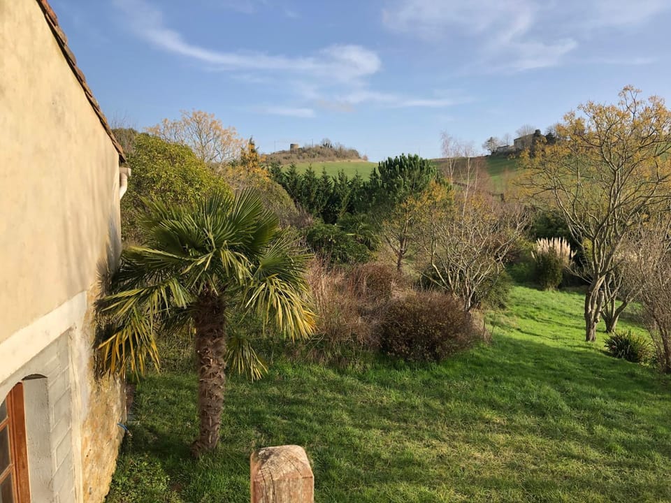 Garden, Garden view
