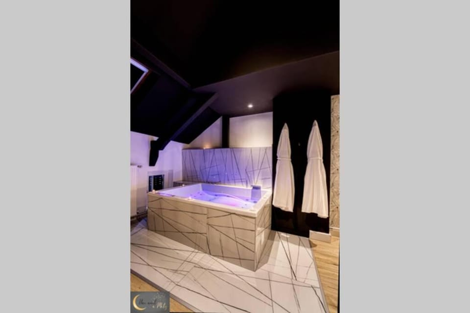 Le Loft Spa au coeur de Metz (unenuitametz) Apartment in Metz
