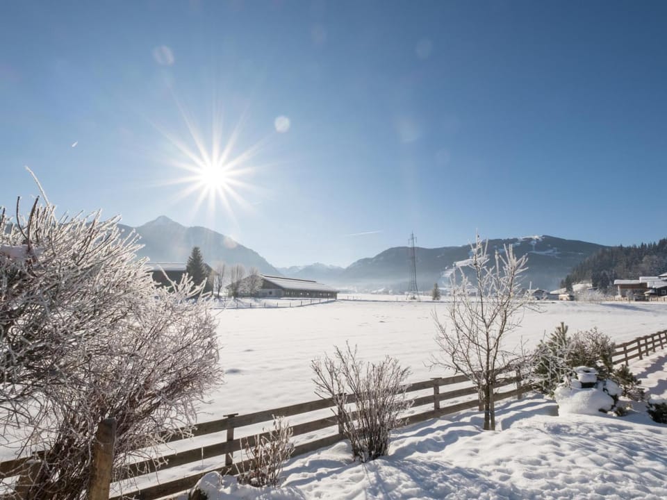 Winter, Area and facilities