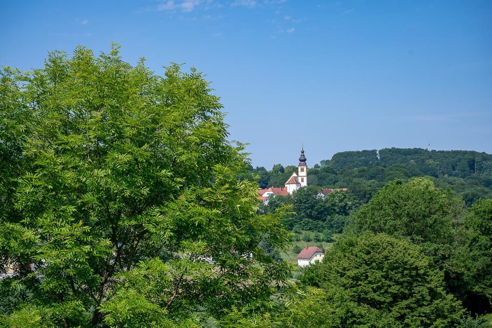 Natural landscape