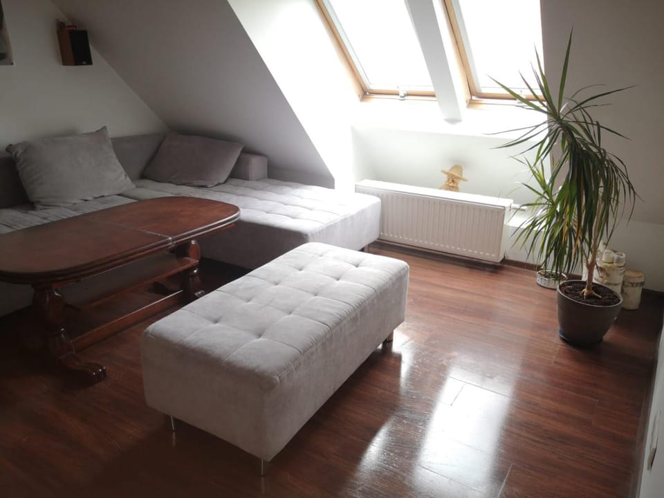 Bed, Living room, Photo of the whole room, Seating area, Bedroom