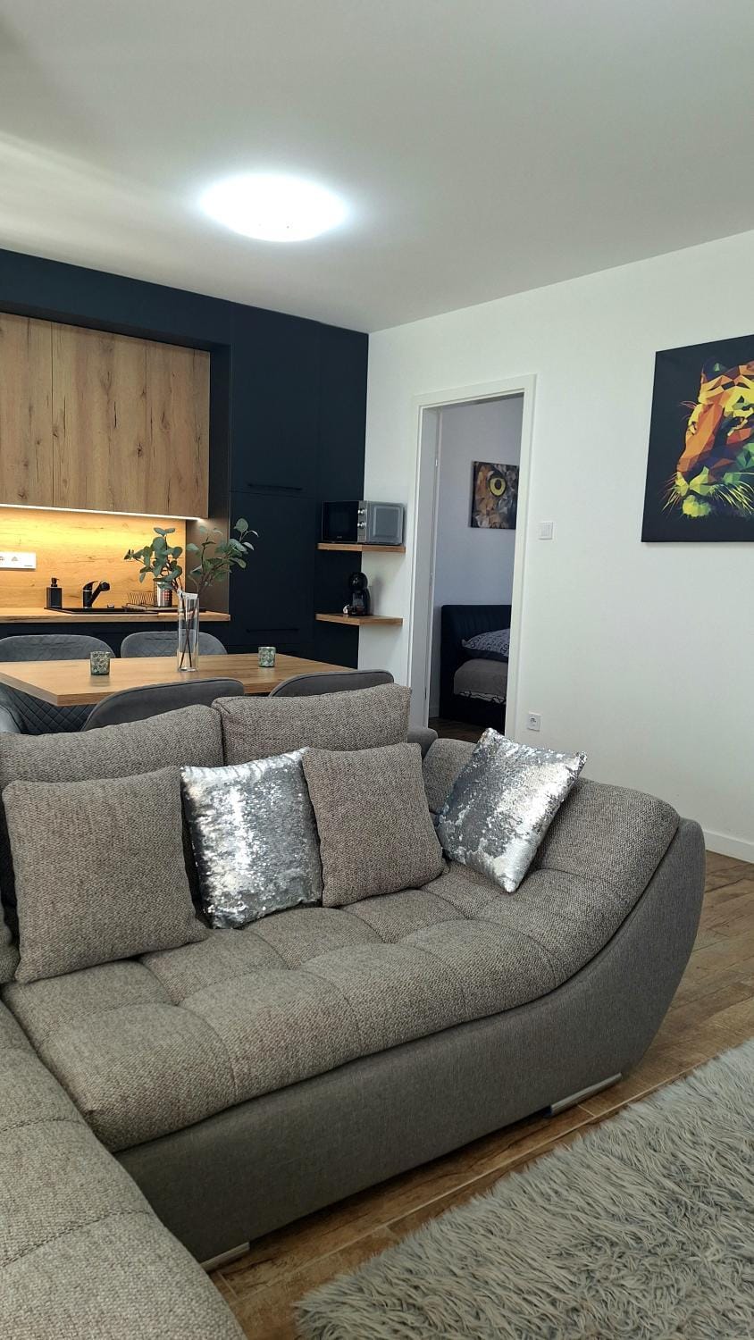 STARLIGHT SILVER Szeged - Exclusive Apartment in Szeged