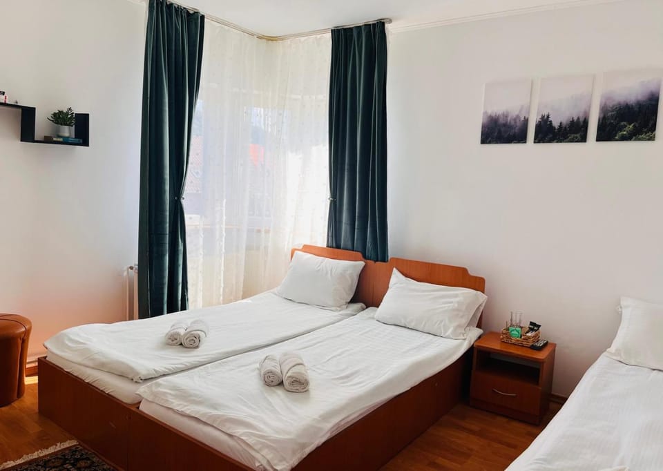 Casa Leah Bed and Breakfast in Brașov County
