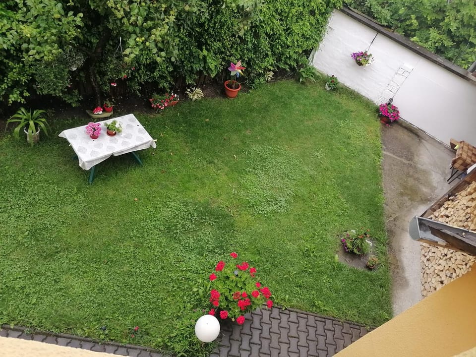 Casă de oaspeți ORSO Bed and Breakfast in Romania