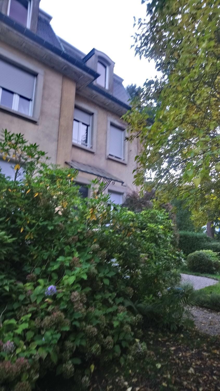 la romantique Vacation rental in Vosges