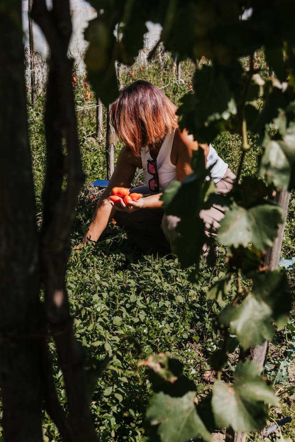 Spring, People, Garden view