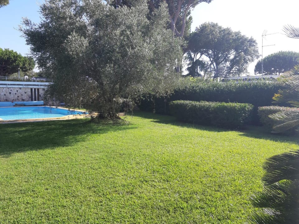 Garden, Swimming pool