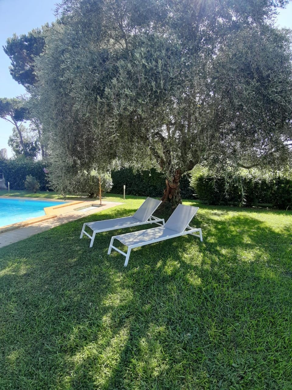 Garden, Swimming pool