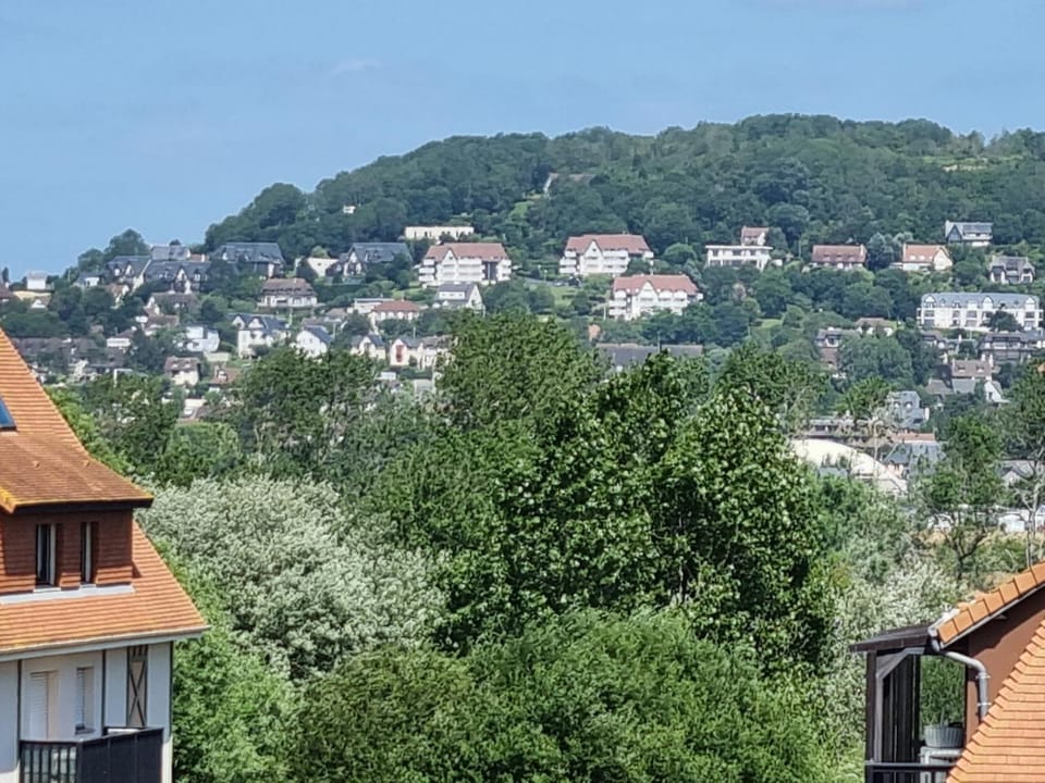 City view
