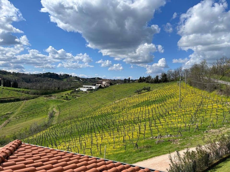 Podere Baratta agriturismo e cantina Farm Stay in Emilia-Romagna