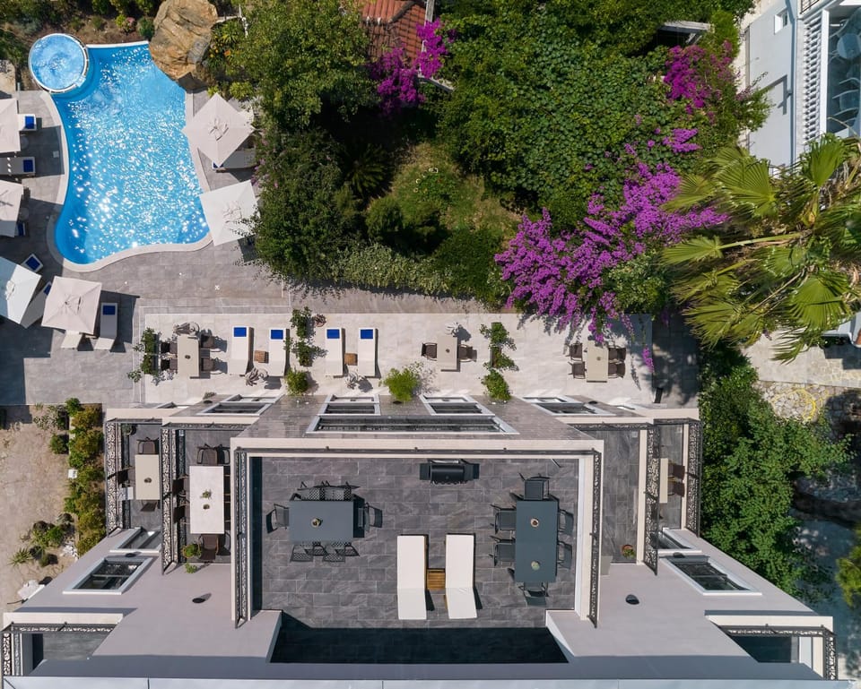 Property building, Day, Bird's eye view, Garden, Garden view, Pool view, Swimming pool