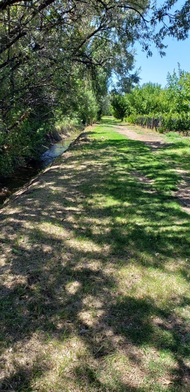 Hiking