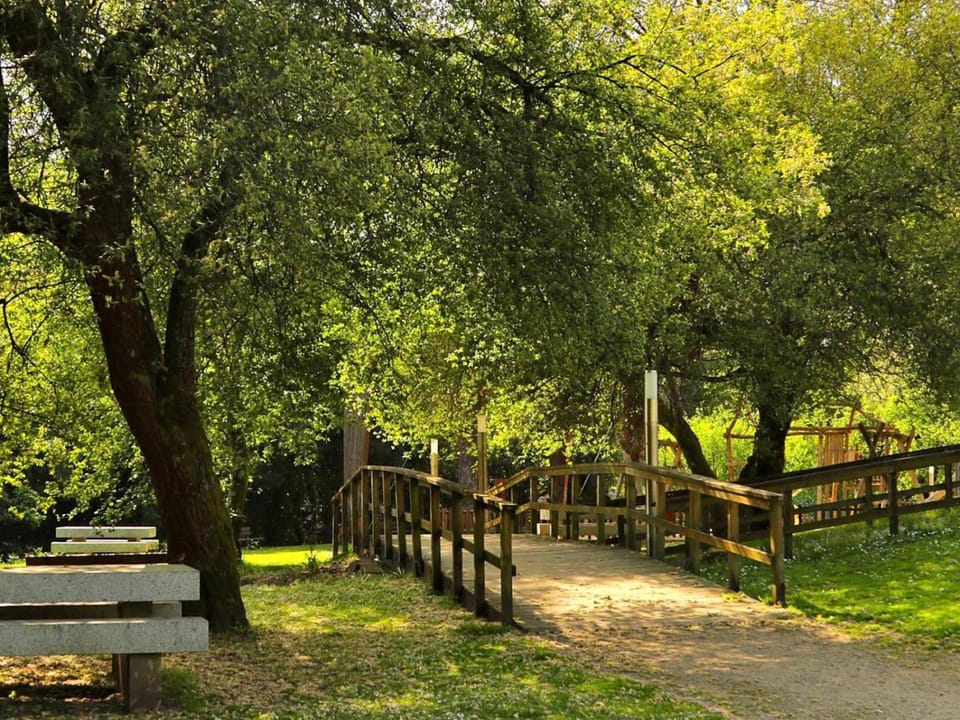 Natural landscape