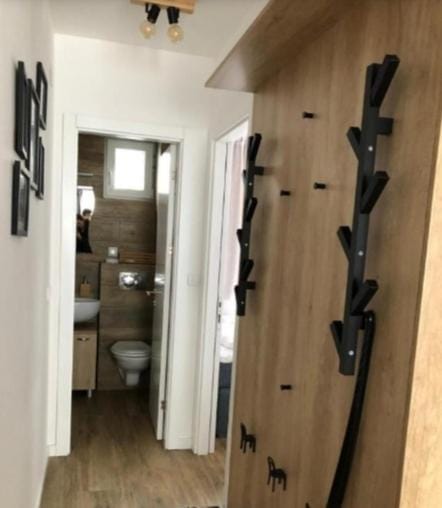 Apartman Srebrna pahulja Apartment in Serbia