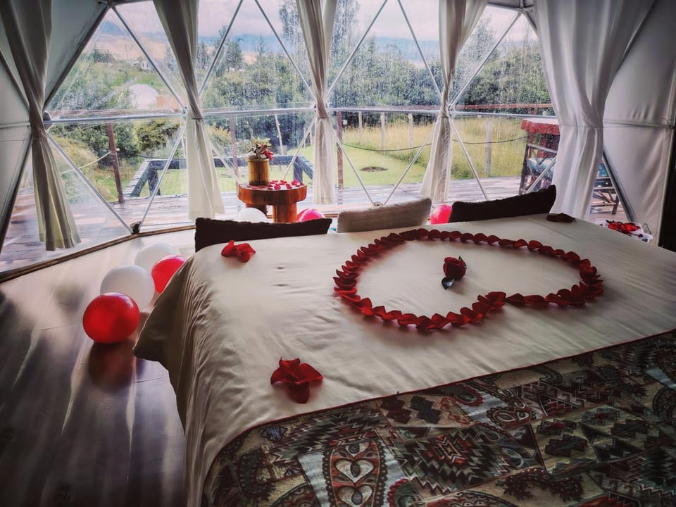 Bed, Photo of the whole room