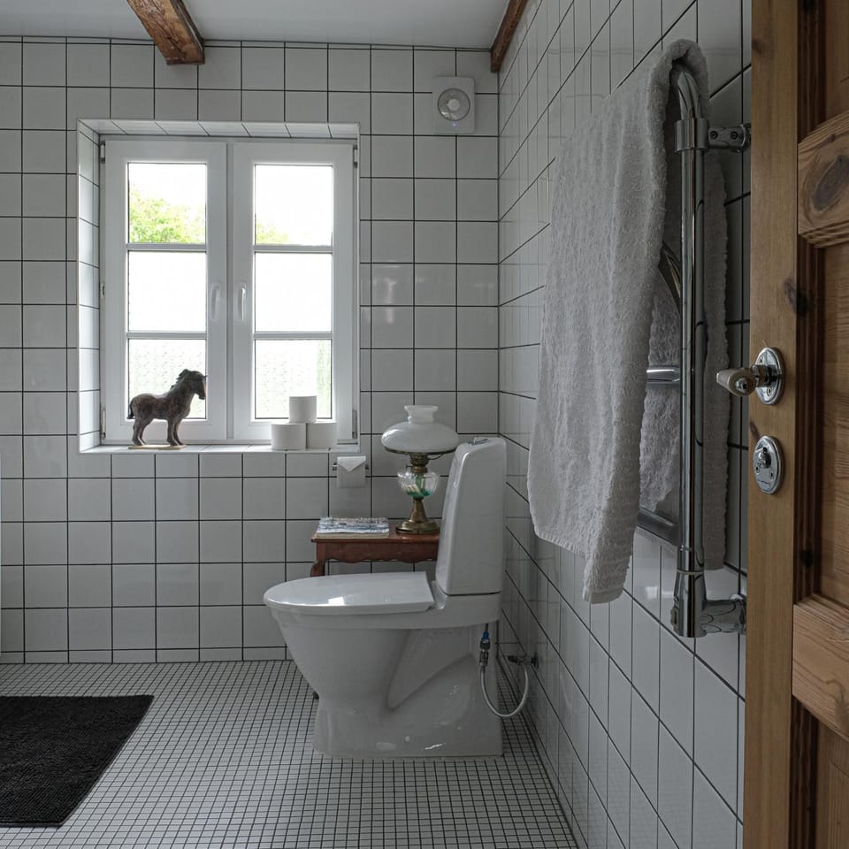 Toilet, Bathroom, towels