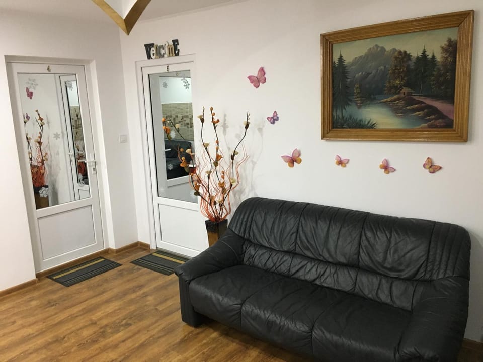 Pensiunea lui George Bed and Breakfast in Moldova