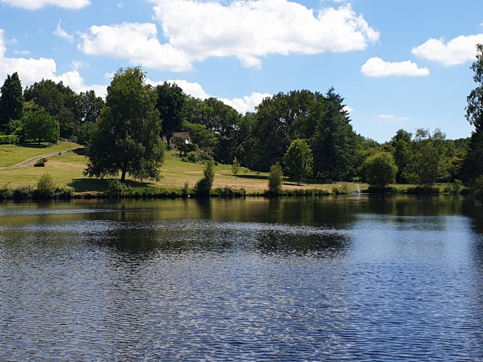 Lake view