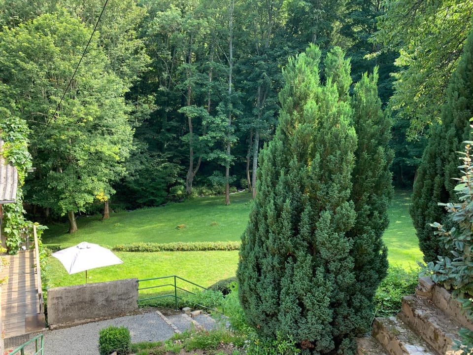 View (from property/room)