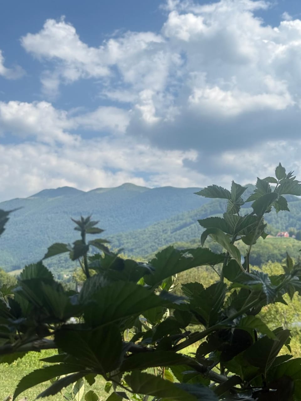 Mountain view