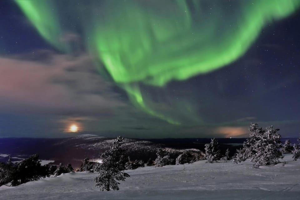 Aurora Halo - City Studio Apartment in Lapland