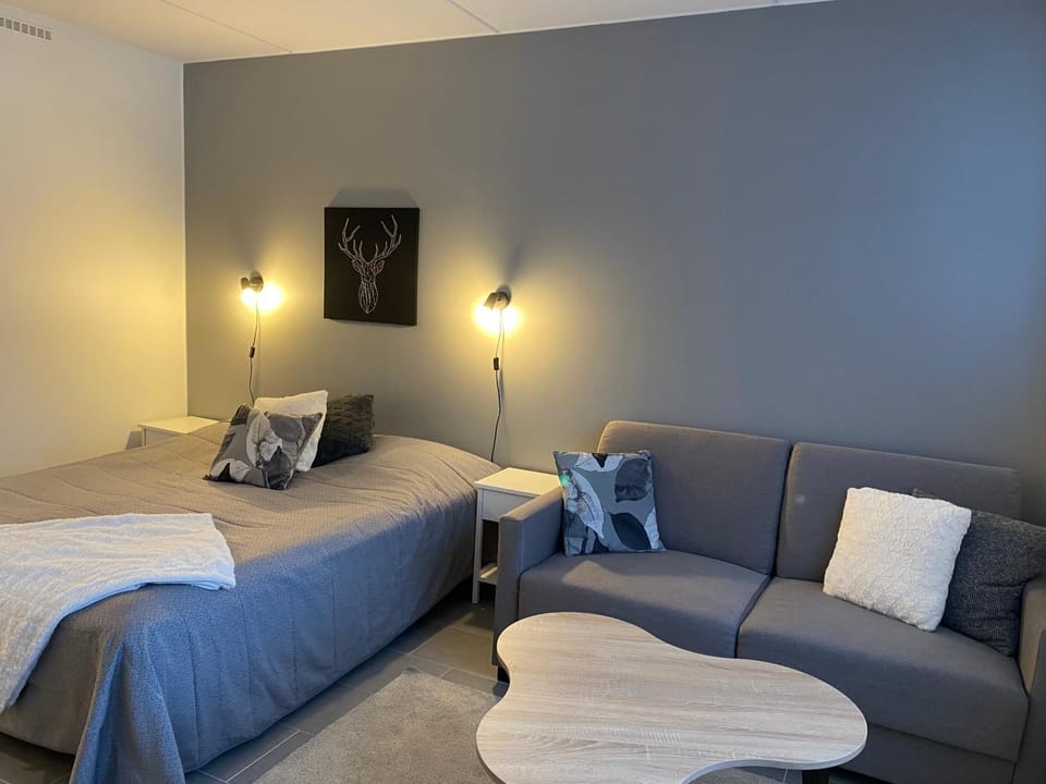 Aurora Halo - City Studio Apartment in Lapland