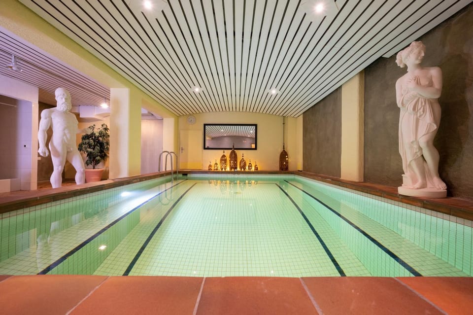 Spa and wellness centre/facilities, Swimming pool