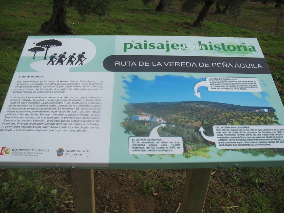 Hiking