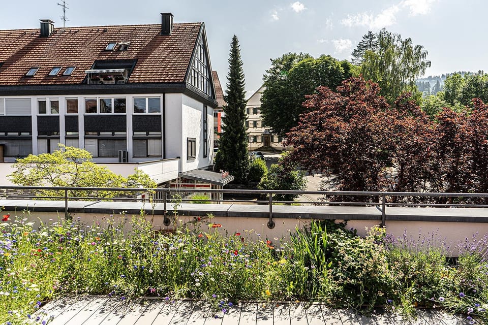 Neighbourhood
