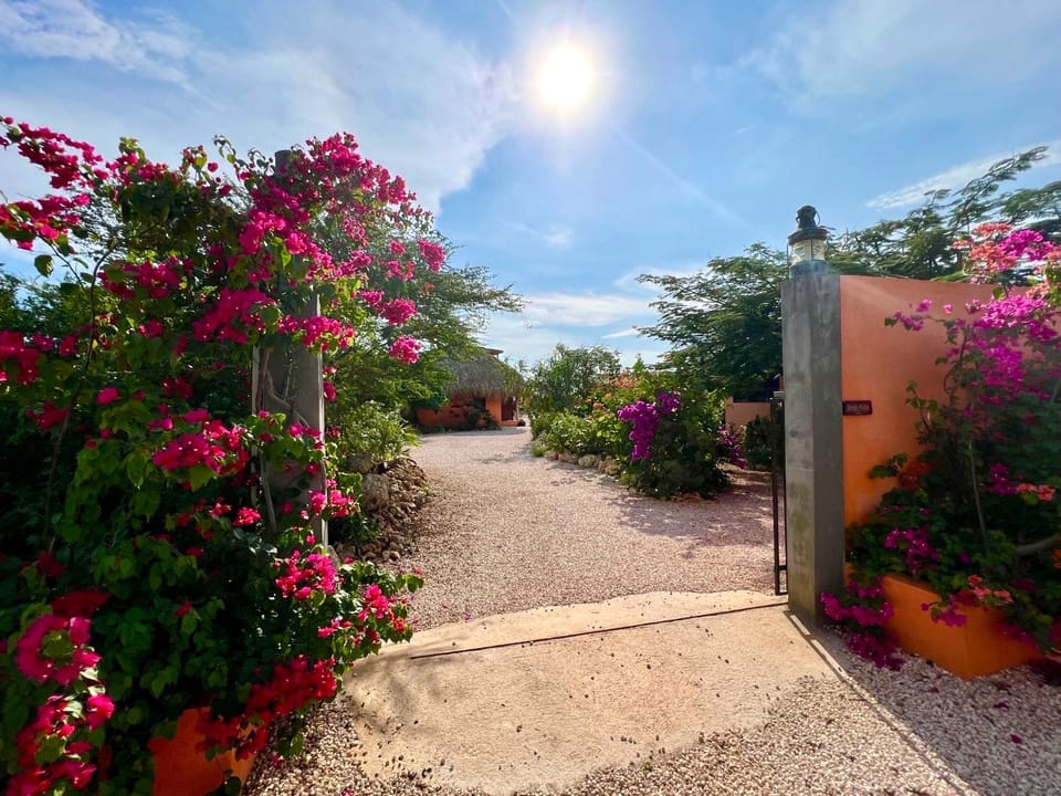 Facade/entrance, Garden