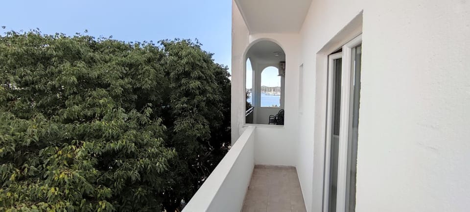 Day, Garden view
