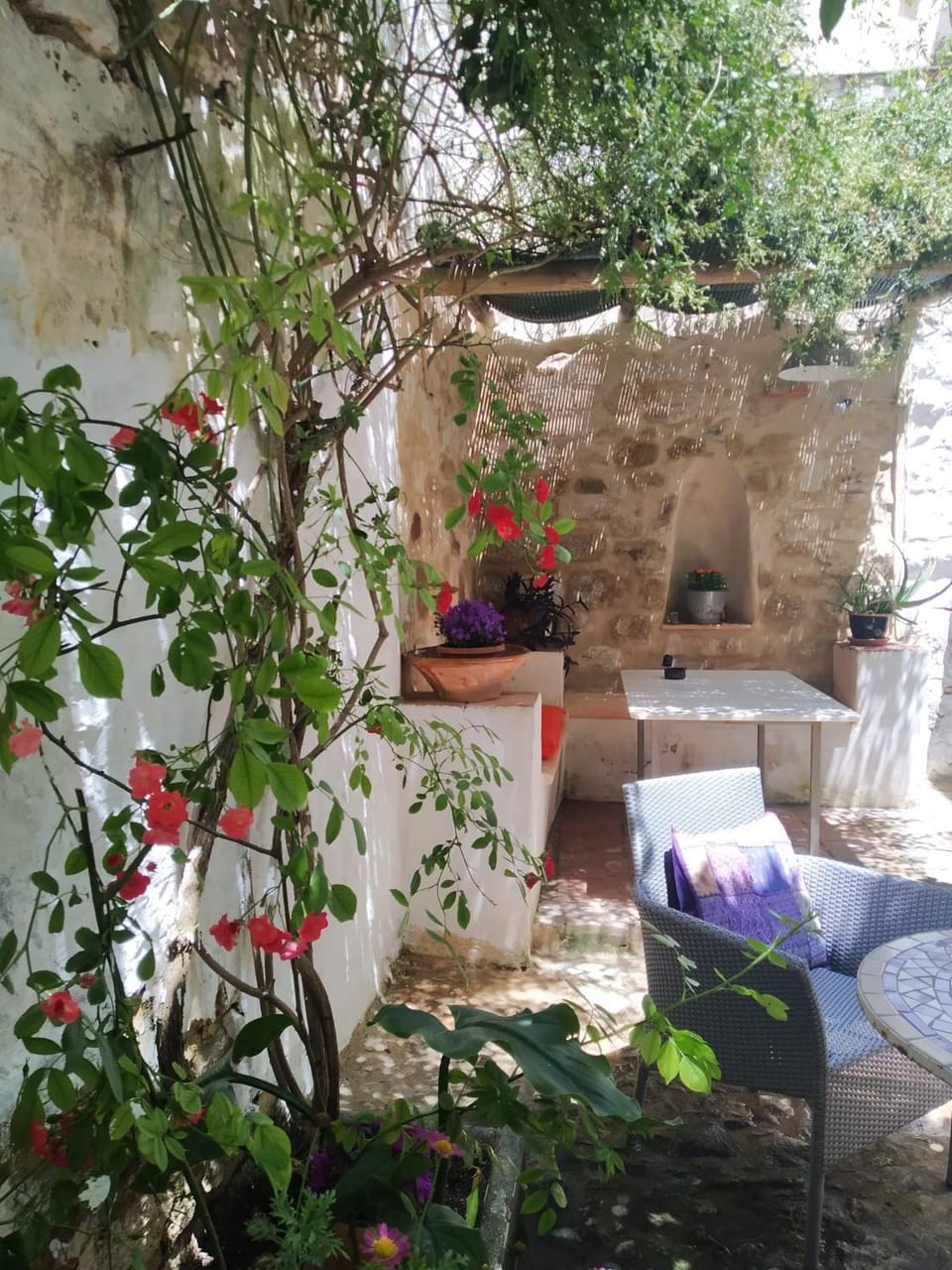 Patio, Garden