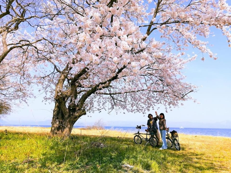 Spring, Natural landscape