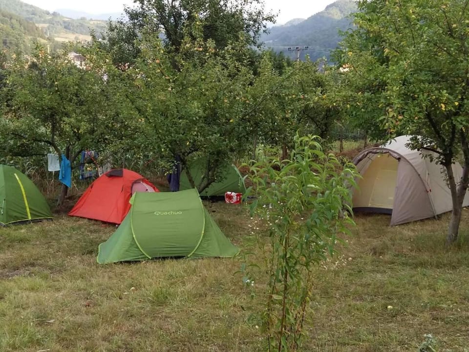 Camp Panorama Luxury tent in Zlatibor District, Serbia